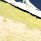 Yes, those are individual brushstrokes Image: Google Culture Institute